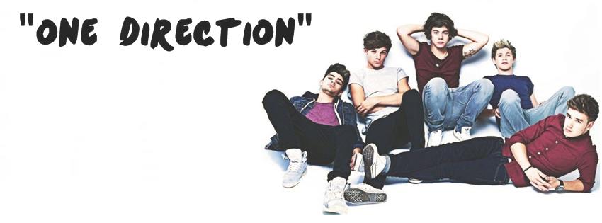 Stop , Aqui Solo Directioner's De Verdad