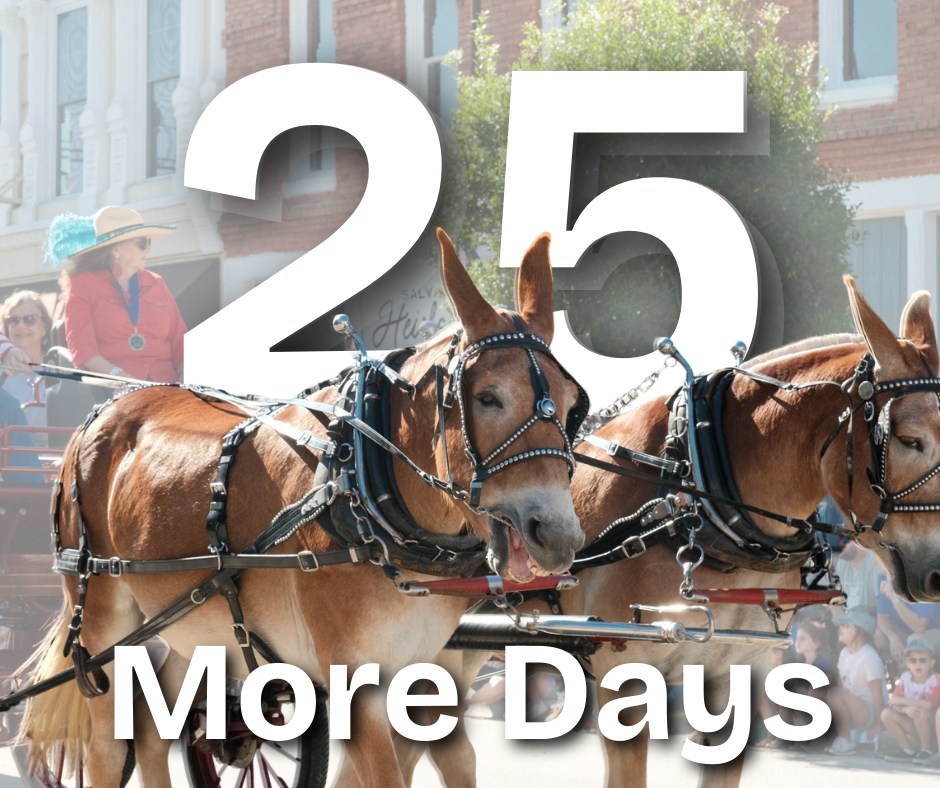 Benson - 🎉🐴 The countdown is ON! 🐴🎉 Only 25 days until Benson Mule Days ...