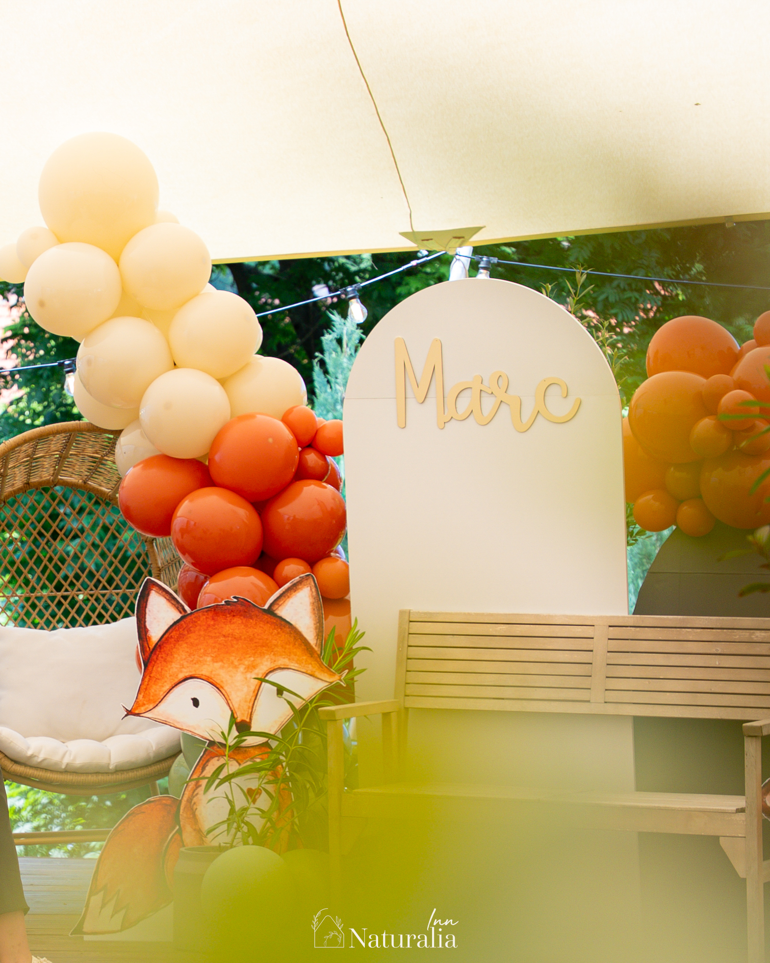 Naturalia Inn | Brasov