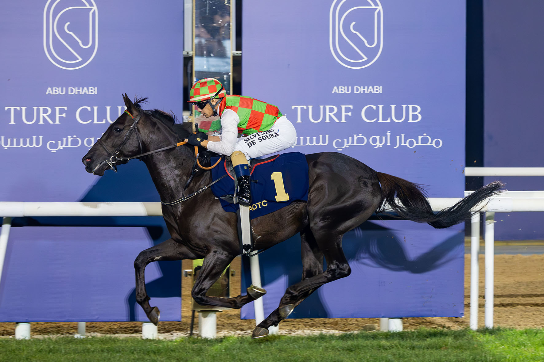 Les Cahiers du Cheval Arabe - Congratulation to Yas Horse Racing ...