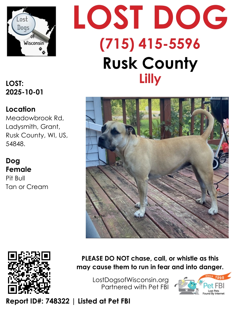 Pit the Massive Dog お値下げ不可 LOST DOG Moose 2025-07-15! Old 51 S, Woodruff, Oneida County, WI