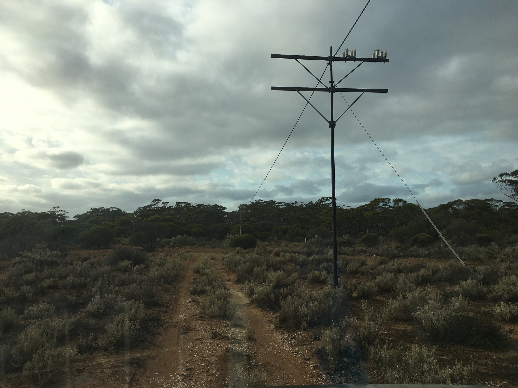Telegraph poles from the 1880s still stand with insulators