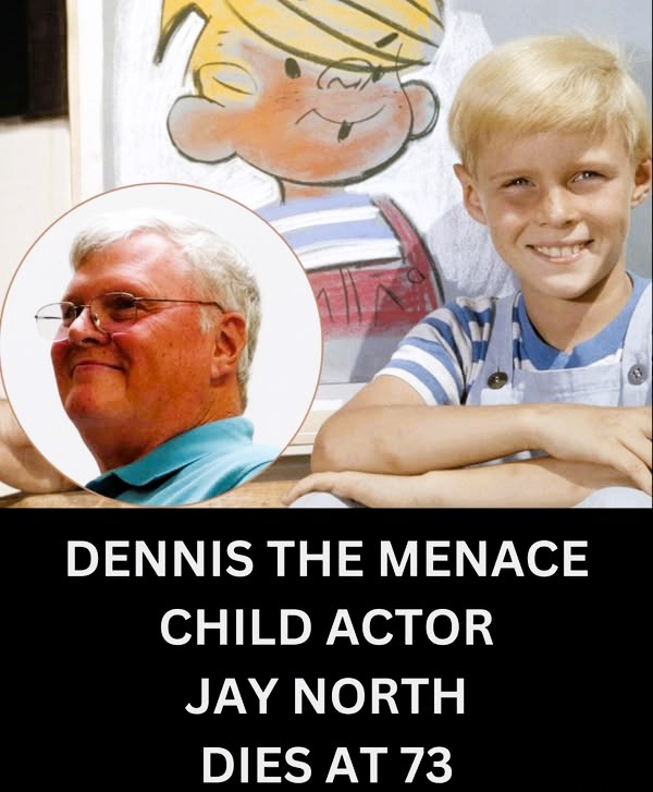 Clarke - Who remembers Jay North in Dennis the Menace? | Facebook
