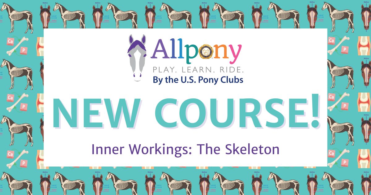 H... - The United States Pony Clubs Inc., (USPC) Official Page | Facebook