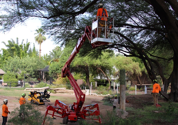 Made In The Shade Tree Service