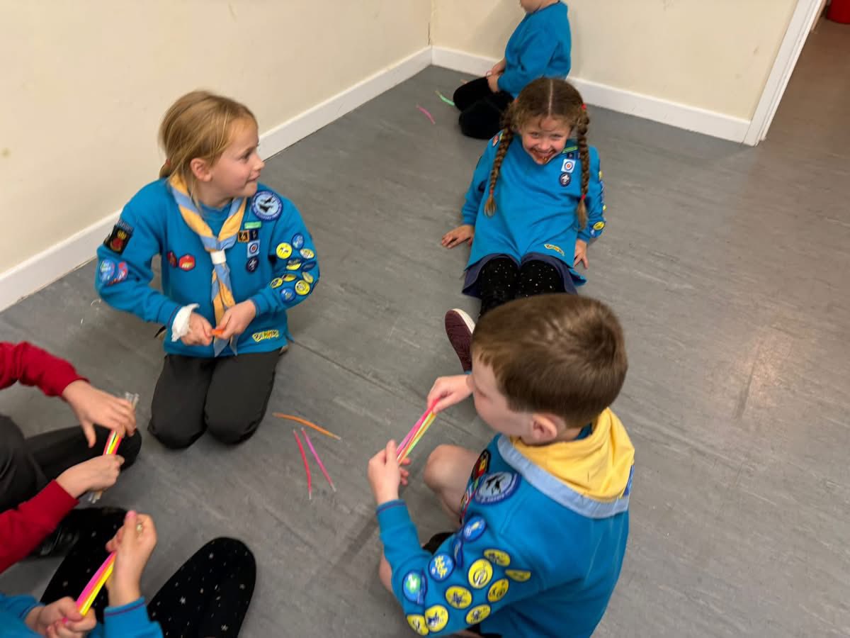 6th Gosport Rowner... - 6th Gosport Rowner Air Scout Group
