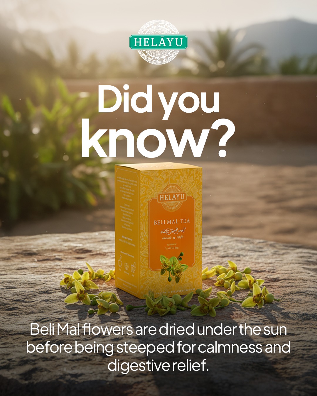 Helayu - For generations, Beli Mal flowers from the Bael tree have been ...