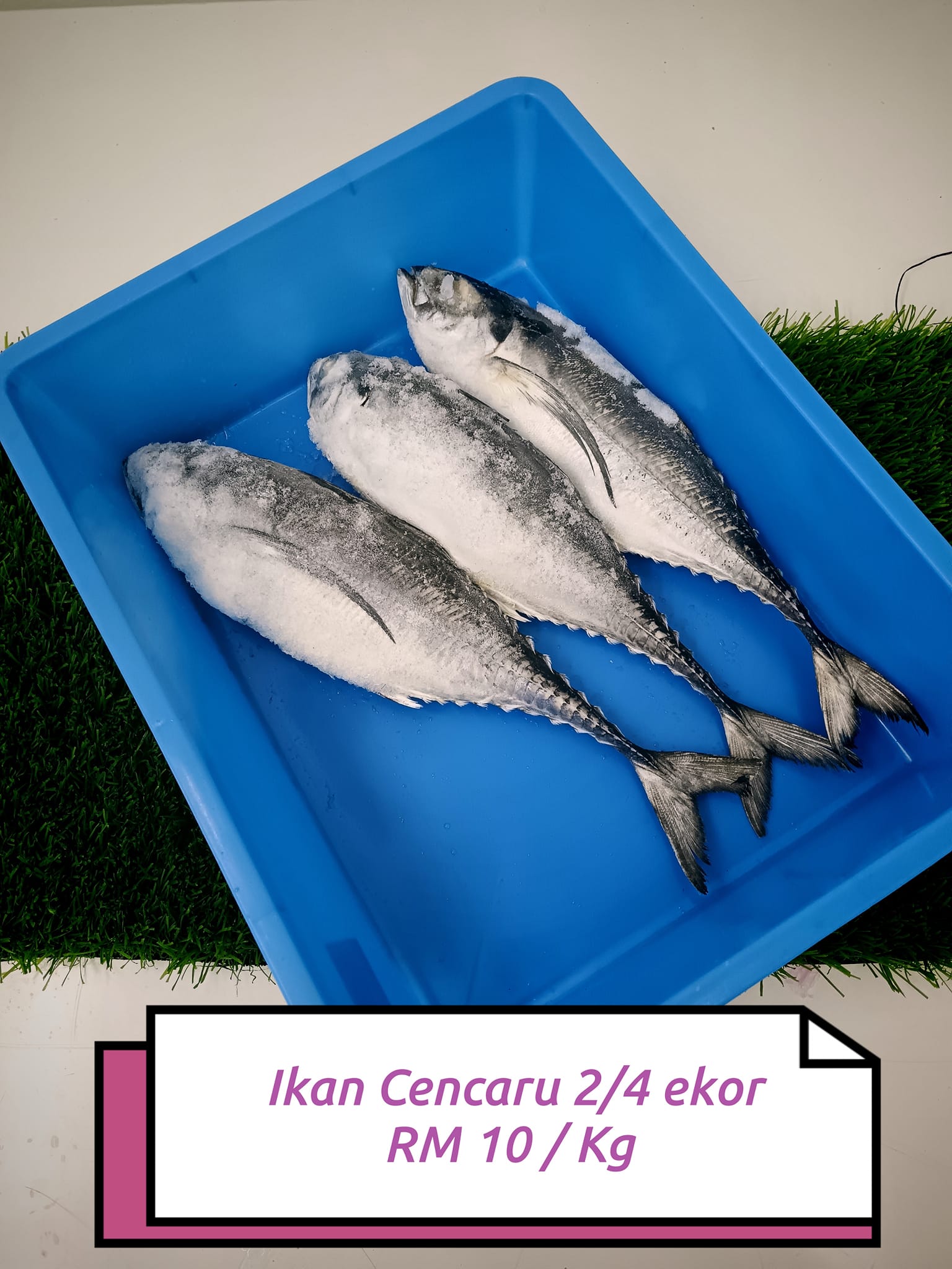 Ikan Rahmah