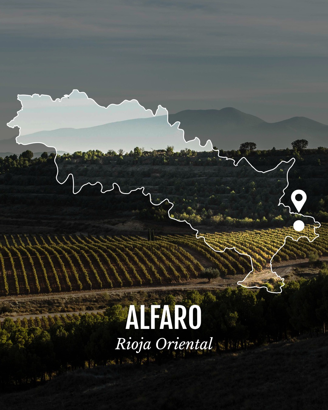 Rioja Wine España | Logroño