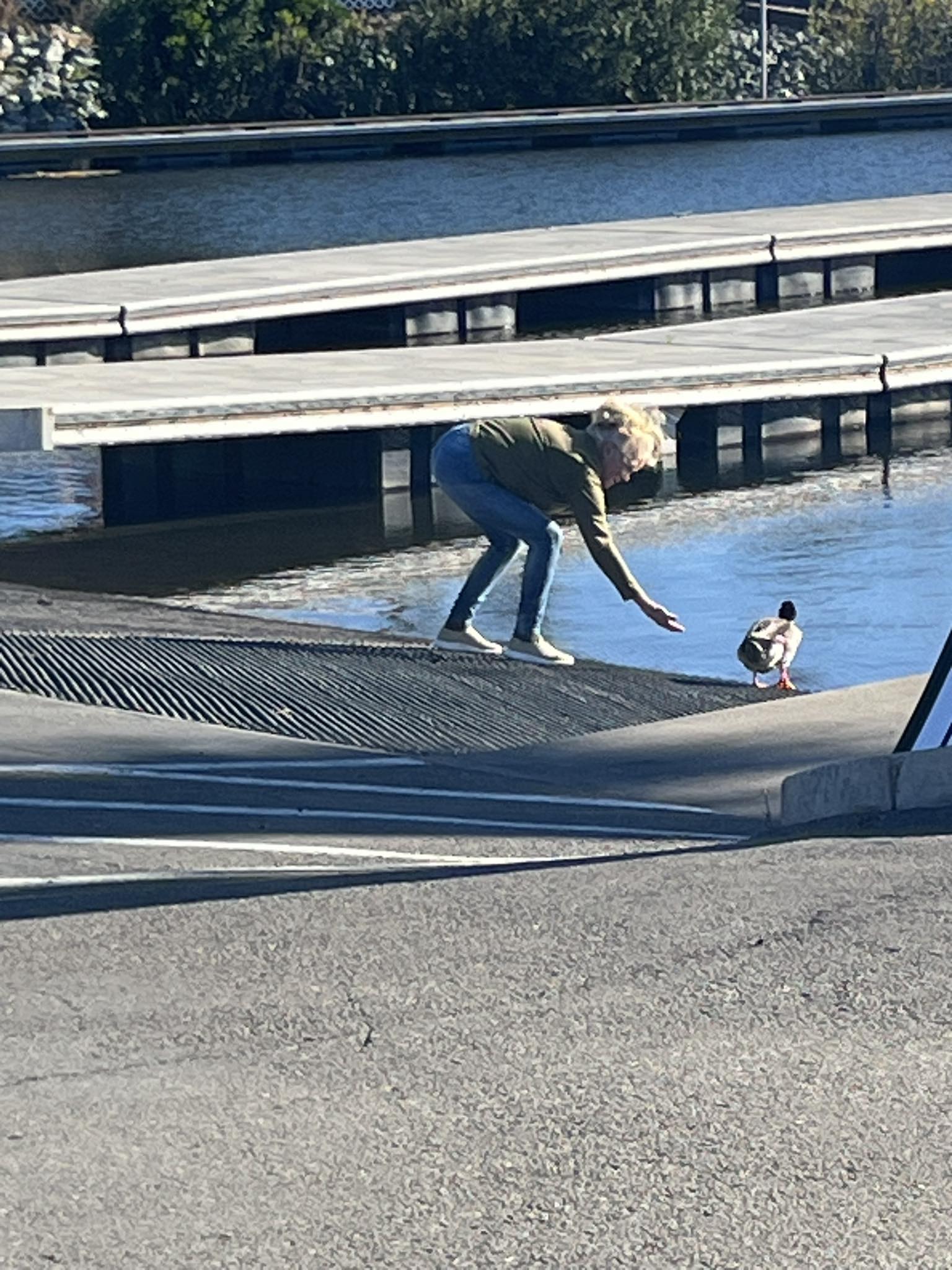 Orwood - 🦆 Duck Demand: DELIVERED 🦆 You asked. We listened. Here he is ...