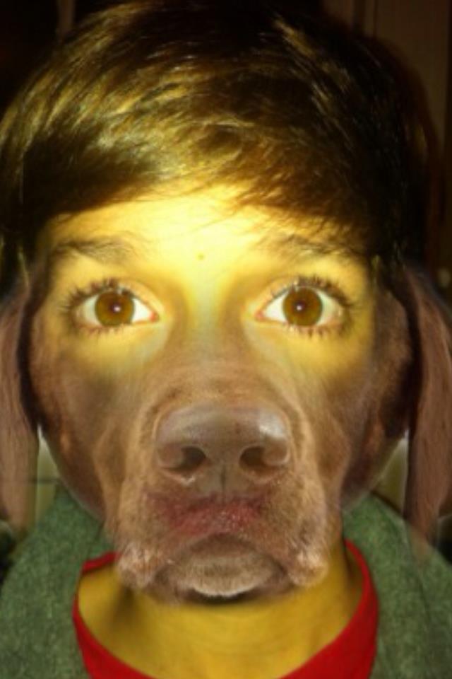 Me As A Dog