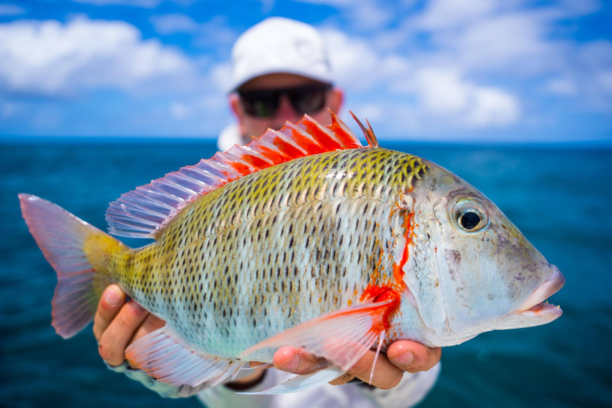 Global Rodrigues, Excursions, fishing spots out lagoon, seafood on ...