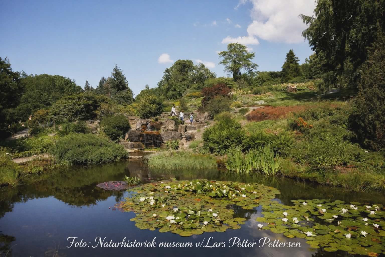 Tur til Botanisk hage på Tøyen i Oslo