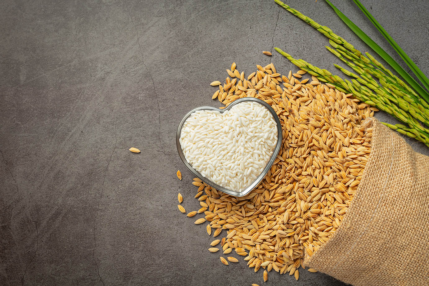 MAA Sharda RICE MILL - The perfect care for your family The best at ...