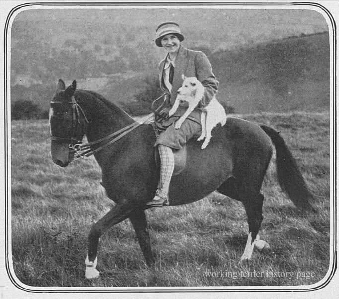 Hunting - This photo of Miss Beryl Francis is with one of the Portland ...