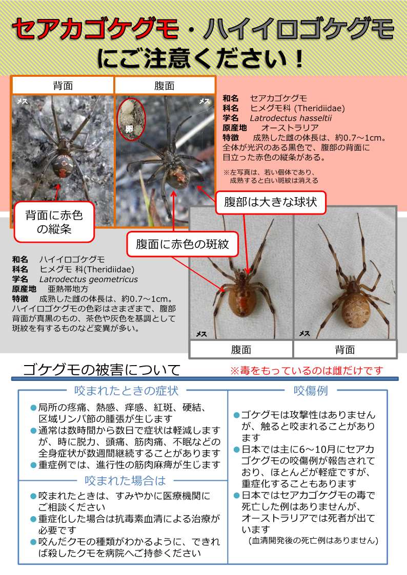 当時のメディア報道・掲載写真