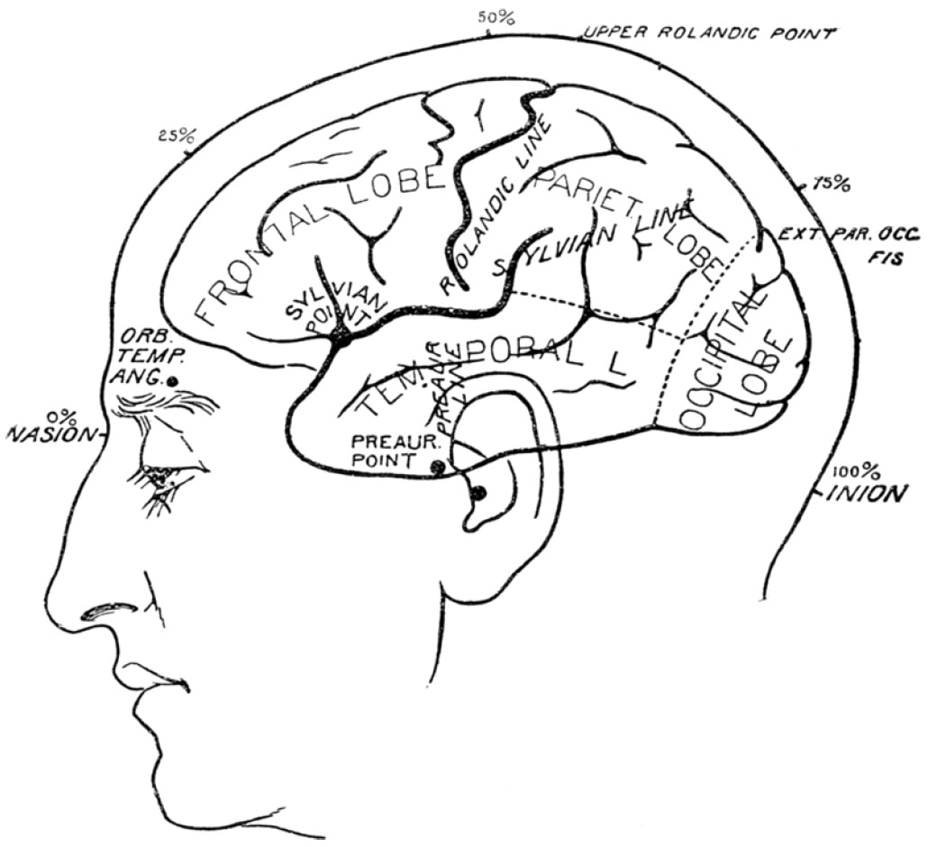 NeuroLab - Pearls in Neurosurgery, Neurology & Neuroradiology added a ...
