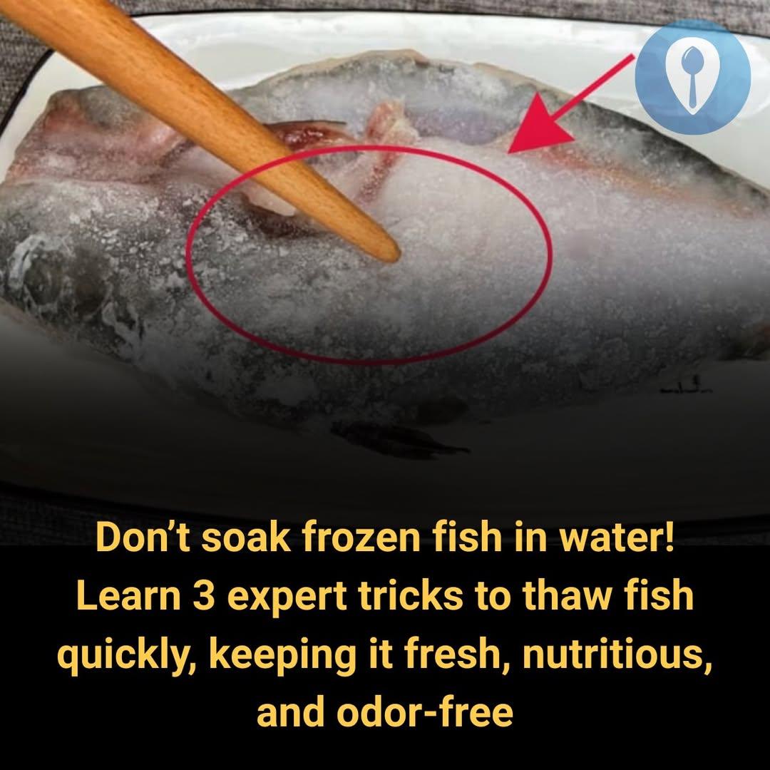 Feedy - How to defrost fish and still keep it fresh 😲 | Facebook