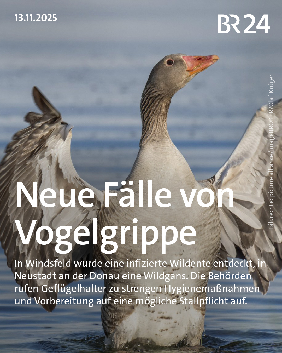 BR24 - Sowohl im Landkreis Weißenburg-Gunzenhausen, als... | Facebook