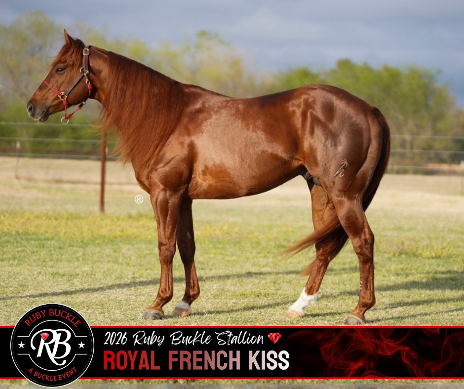 𝟮𝟬𝟮𝟲 𝗥𝘂𝗯𝘆 𝗕𝘂𝗰𝗸𝗹𝗲 𝗦𝘁𝗮𝗹𝗹𝗶𝗼𝗻 Royal French Kiss