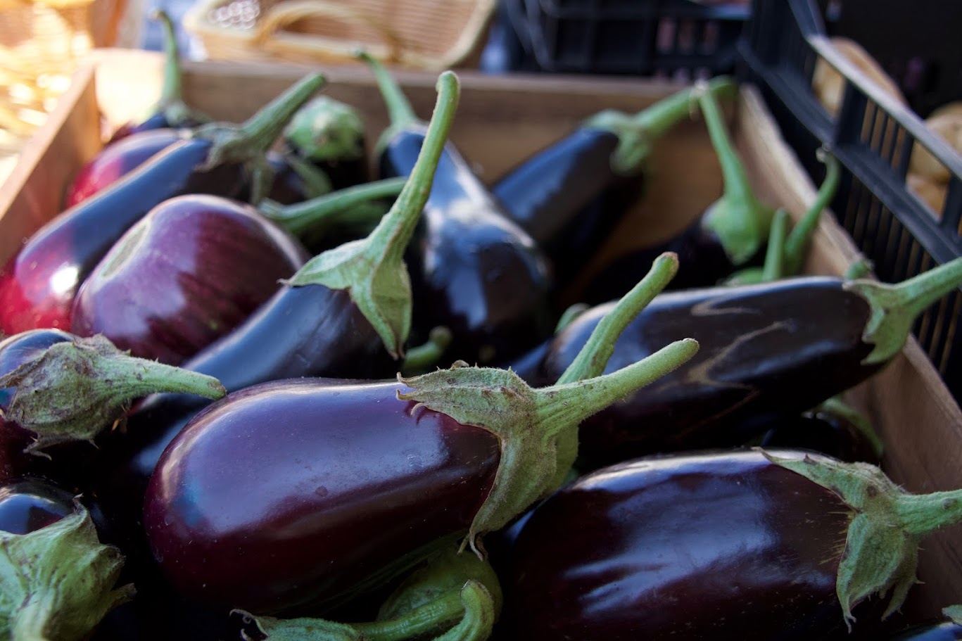 Eggplant is a versatile vegetable with a unique taste! preserving