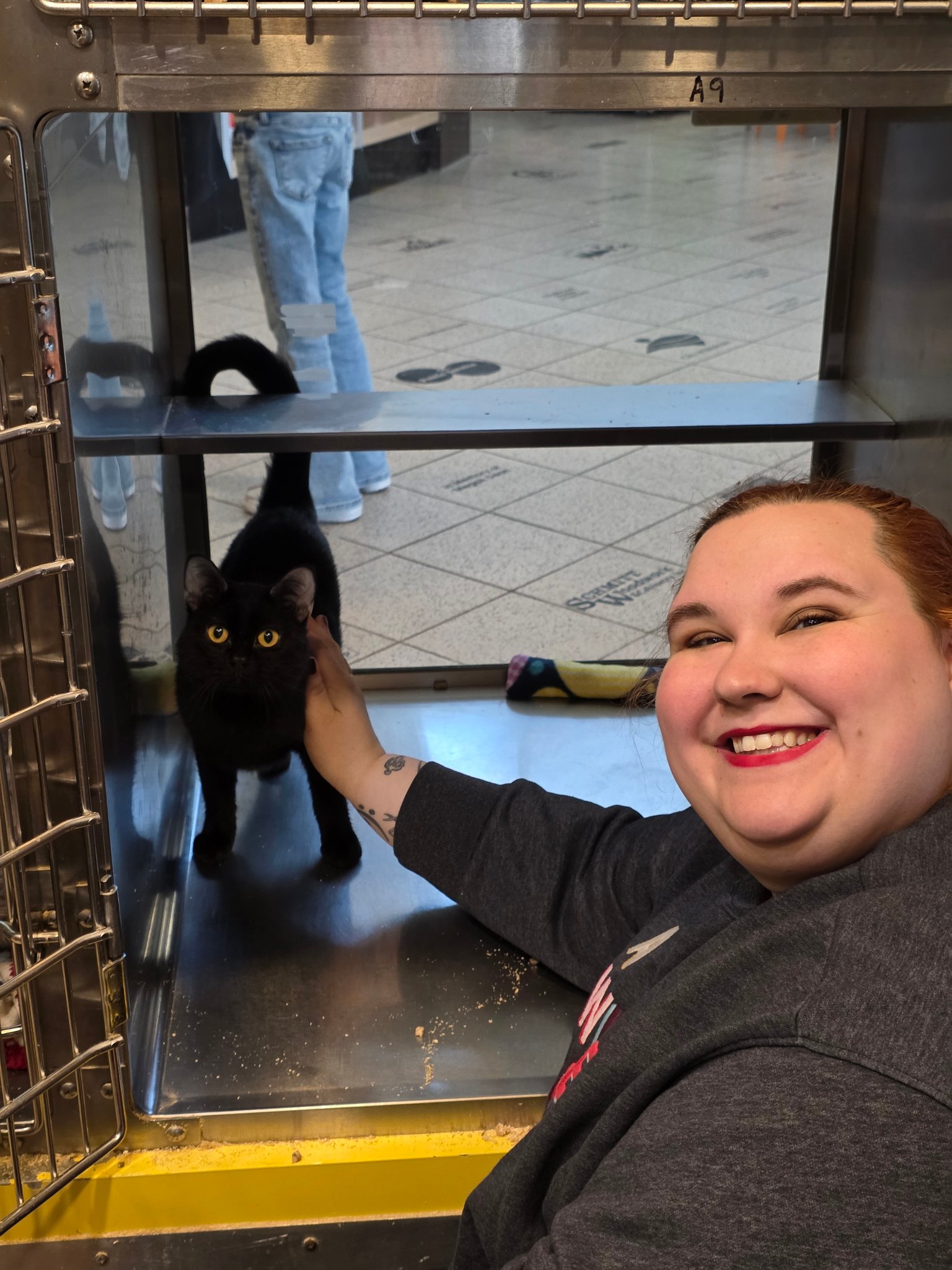 Humane - And on the 366th day, Subway packed his bags and left with the ...