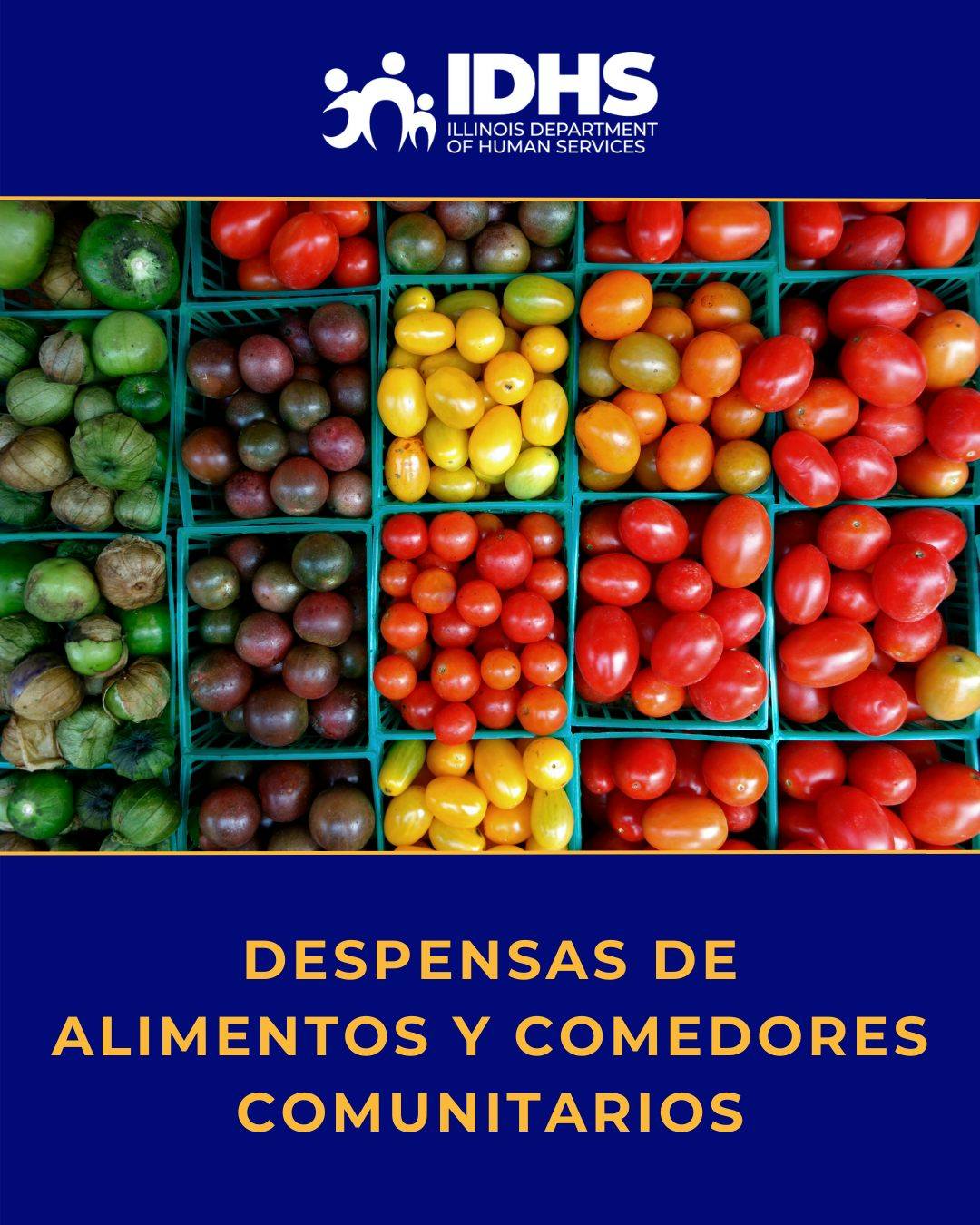 Illinois - ¿Buscas dónde conseguir comida? 🍽️ IDHS puede conectarte con ...