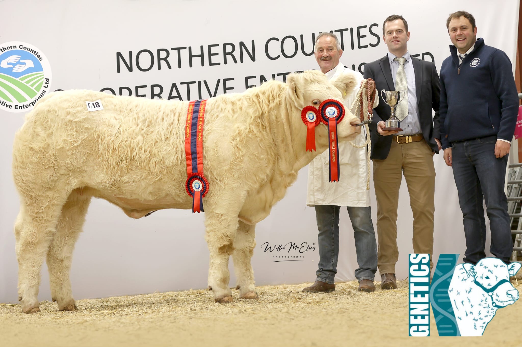 Swatragh Livestock Market... - Swatragh Livestock Market