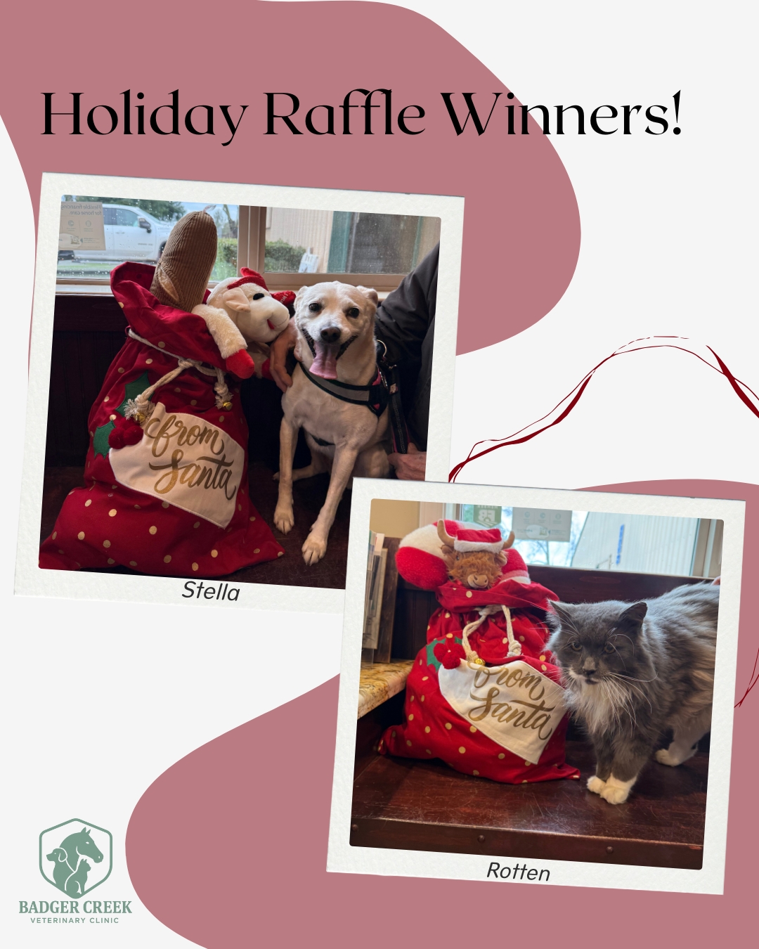 🎁 Holiday Raffle... - Badger Creek Veterinary Clinic | Facebook