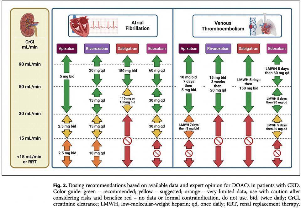 Cardiophilia - 🔴🟡🟢 DOACs and renal function (CrCl mL/min) ⬇️⬇️⬇️⬇️ 📌≥50 ...