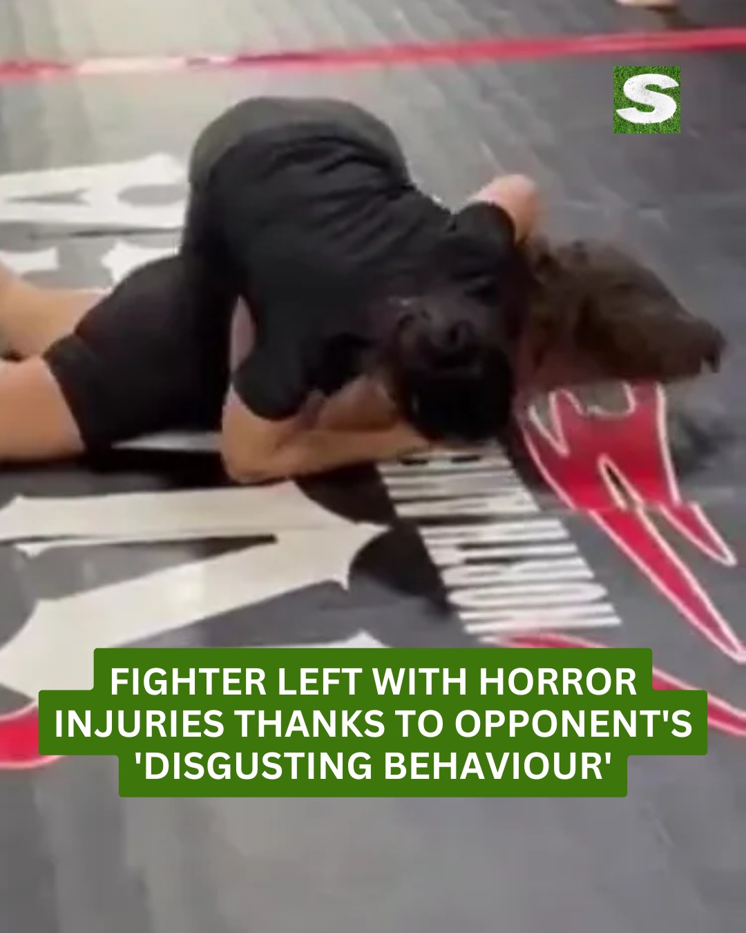 Sun - Absolutely sickening stuff. | Facebook