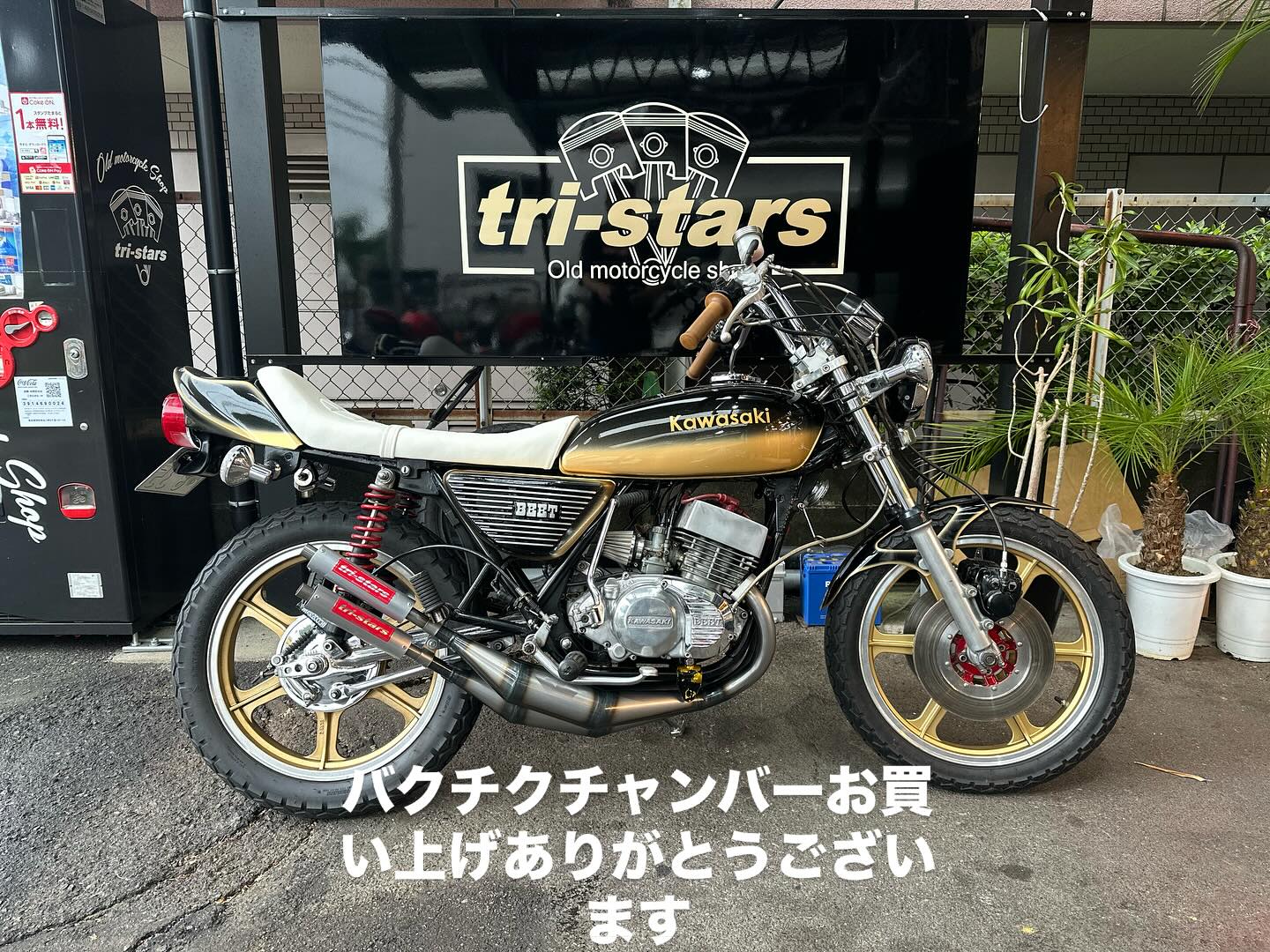 トライスターズ - バクチクチャンバーお買い上げ ありがとうございます