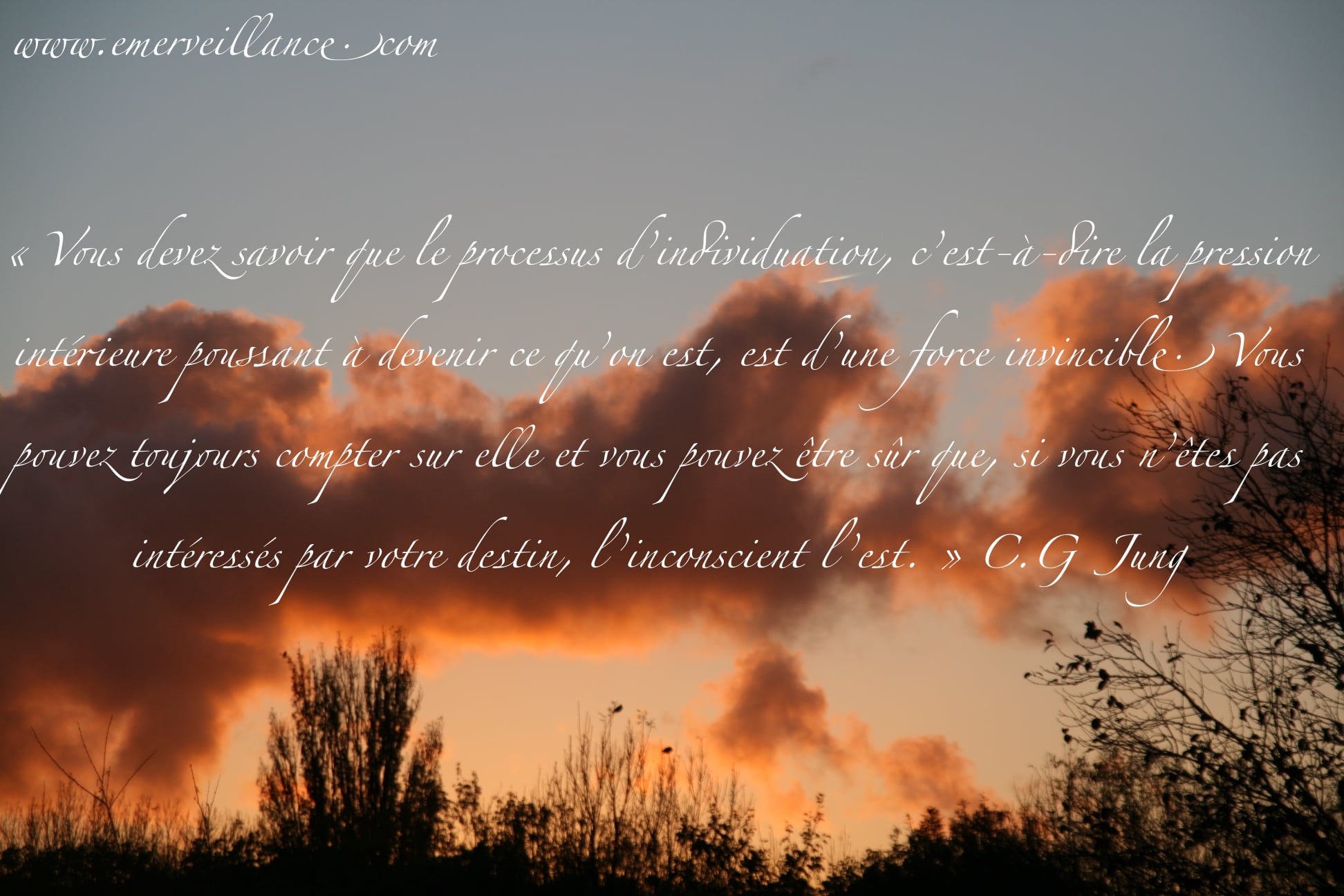 Emerveillance Citation De Jung Qui Ne Concerne Pas Seulement L Individu Selon Moi Je Rajouterai Donc Il Y A Une Forte Poussee De L Exterieur Aujourd Hui Pour Permettre A Un Grand Nombre
