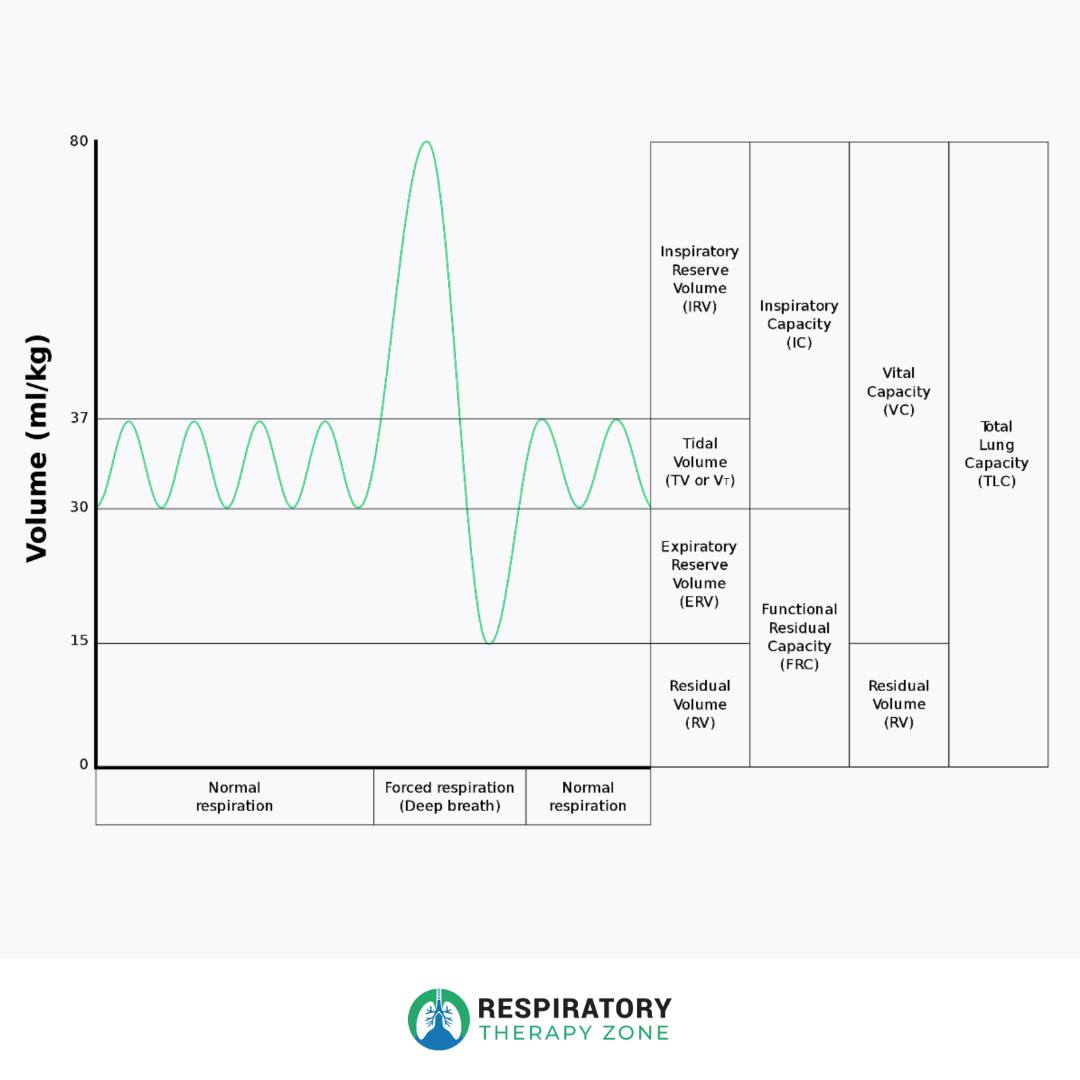 Respiratory - The 
