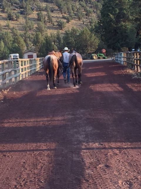 Keystone Ranch in... - Keystone Cattle & Performance Horses | Facebook