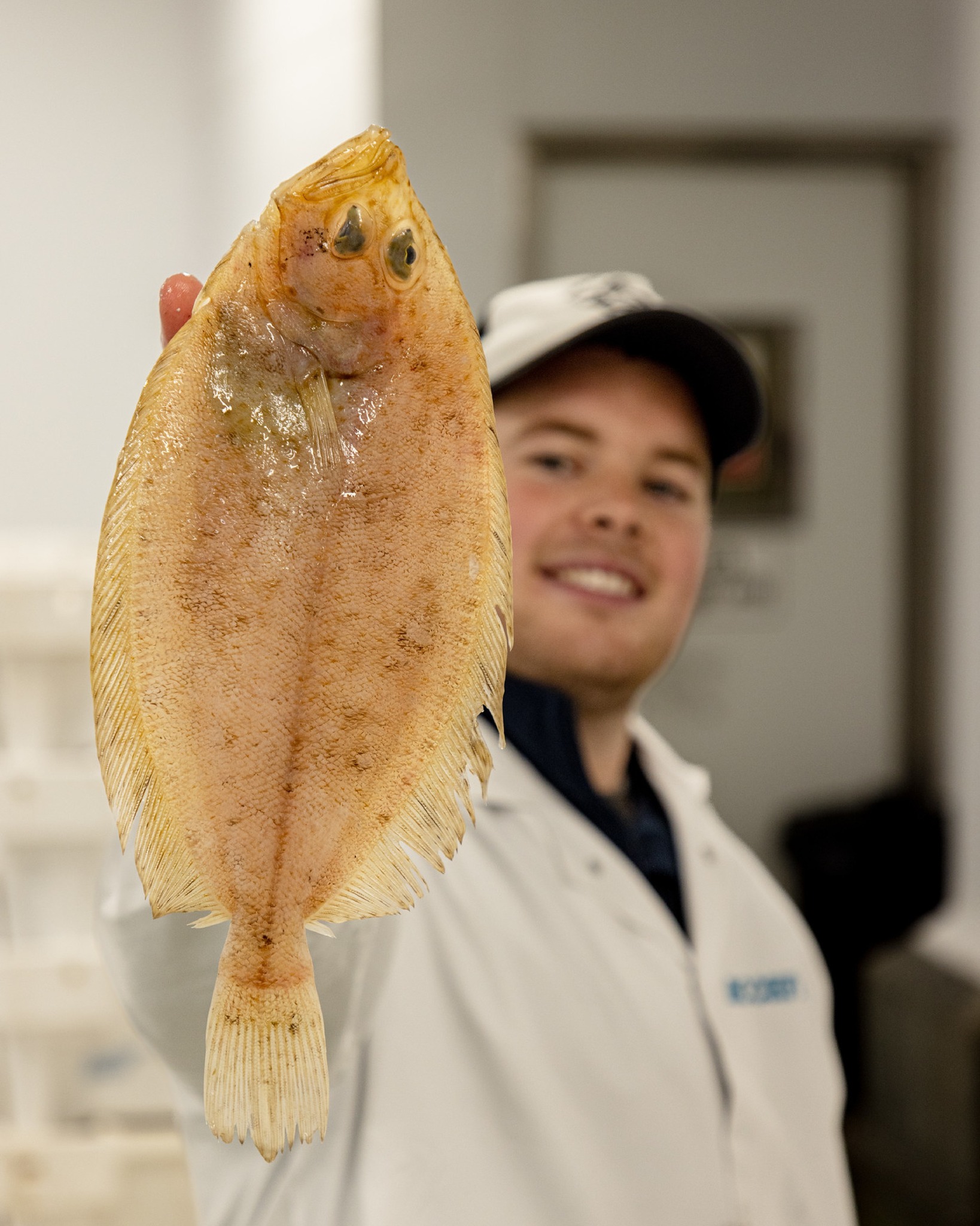 Rockfish - 🐟 Also known as Cornish Sole, Megrim is a... | Facebook
