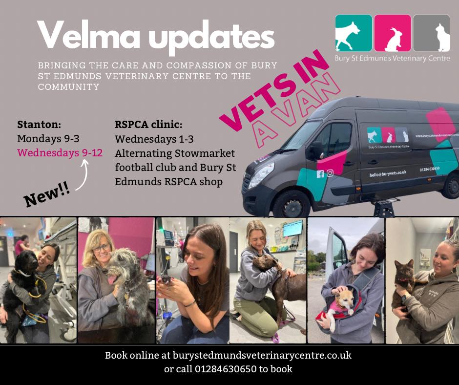 🚐 Velma Van pop up... - Bury St Edmunds Veterinary Centre | Facebook