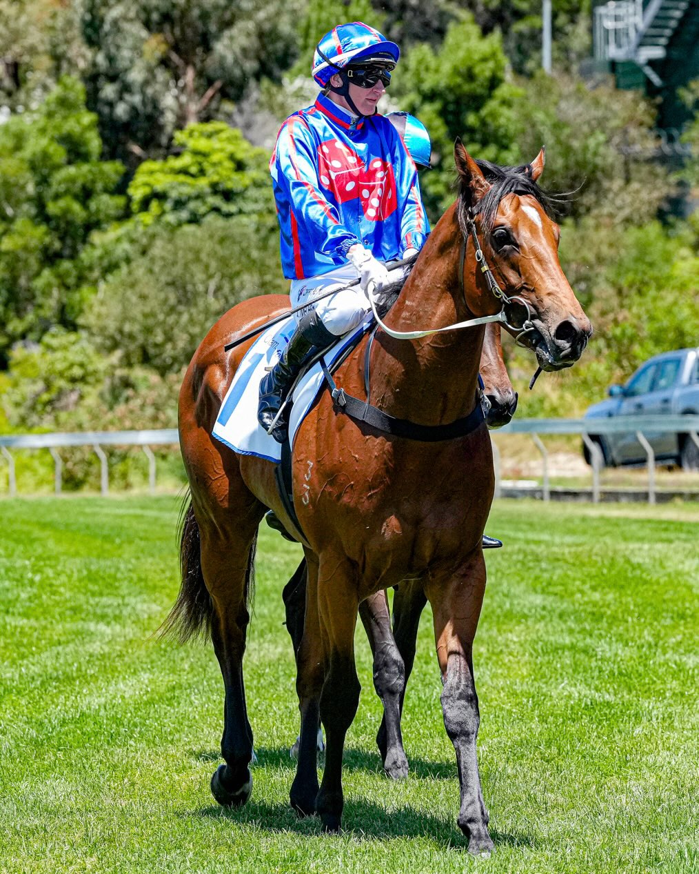 Racing Victoria - Racing Victoria added a new photo.