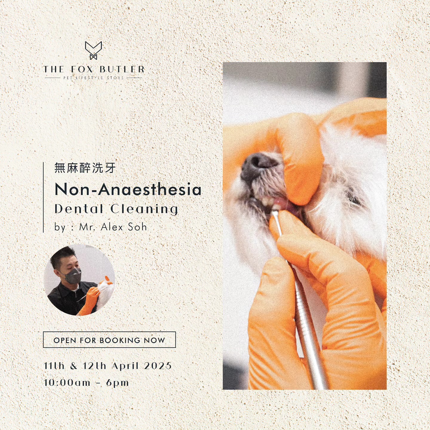 The Fox Butler Pet Lifestyle Store | Bayan Lepas