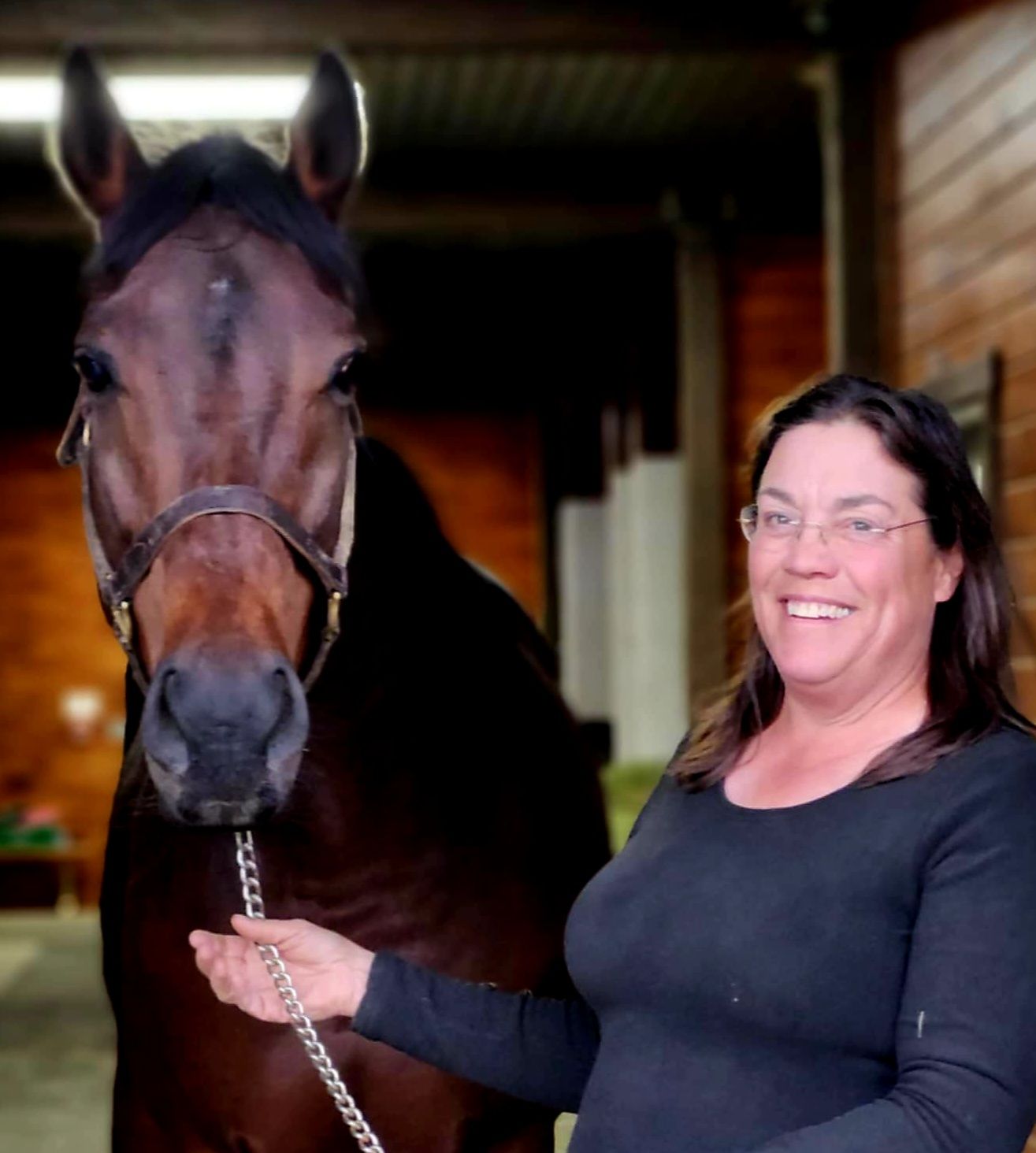 Here to pick up one horse,... - ReRun Thoroughbred Adoption | Facebook