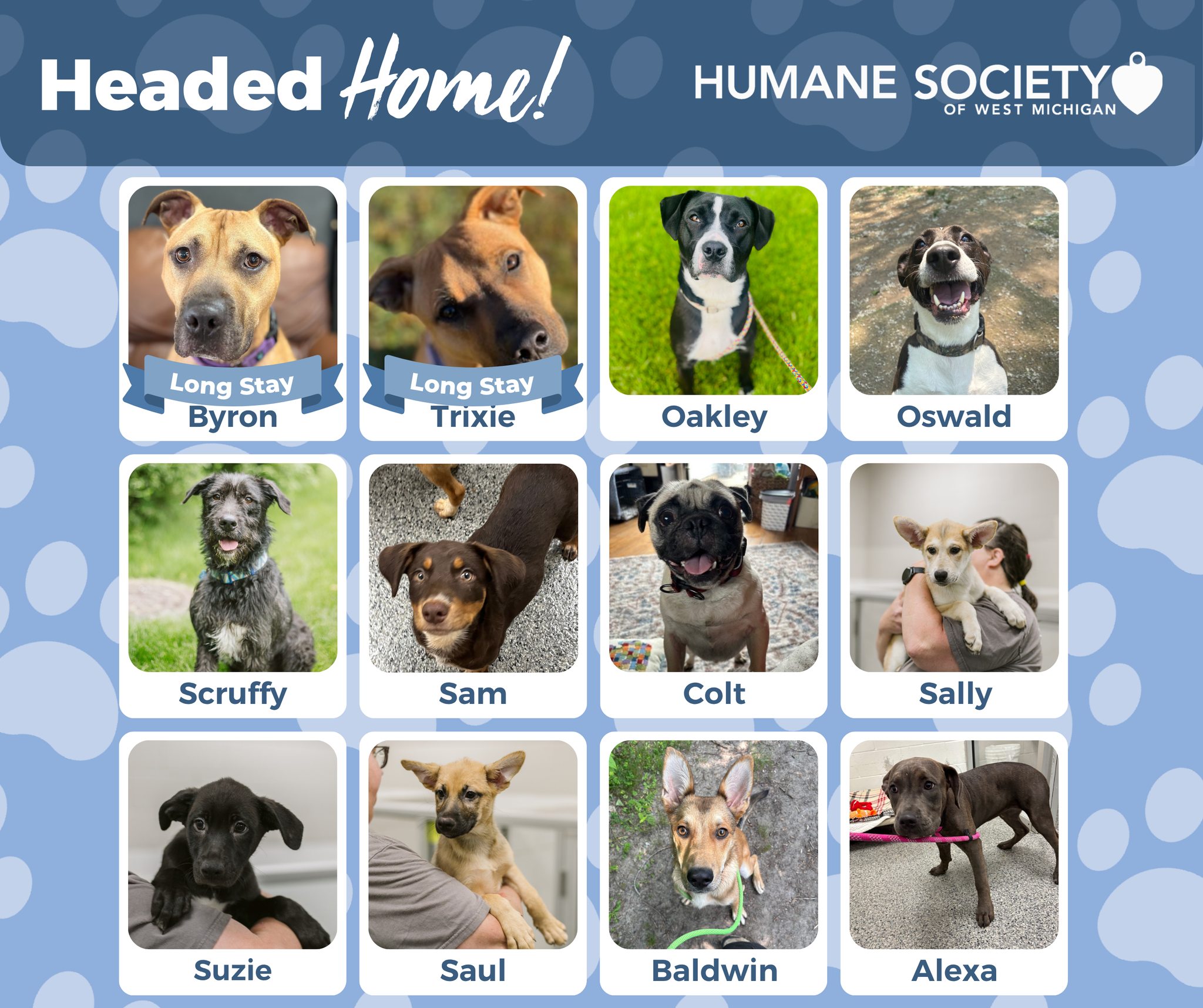 Happy Monday, everyone!... - Humane Society of West Michigan | Facebook