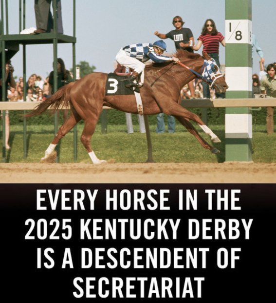 Stable - Every horse in the 2025 Kentucky Derby shares one legendary ...