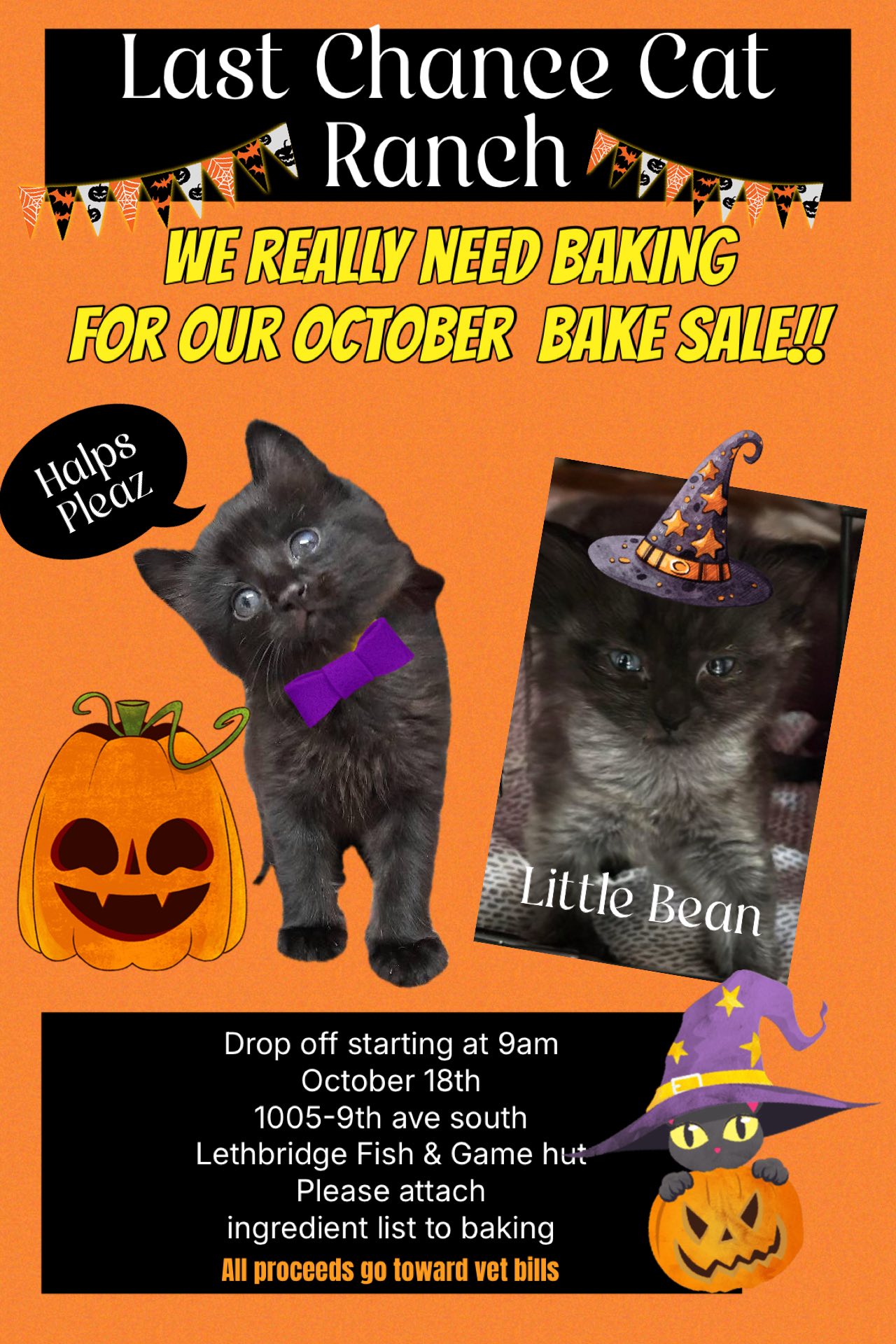 Last Chance Cat Ranch... - Last Chance Cat Ranch Lethbridge