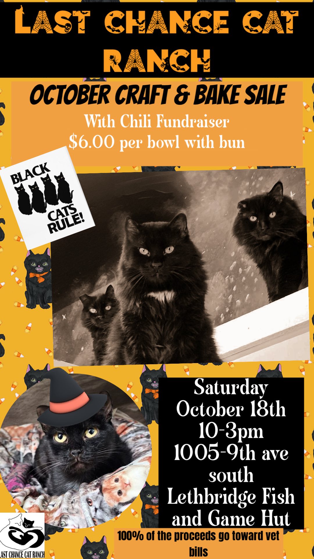 Last Chance Cat Ranch... - Last Chance Cat Ranch Lethbridge