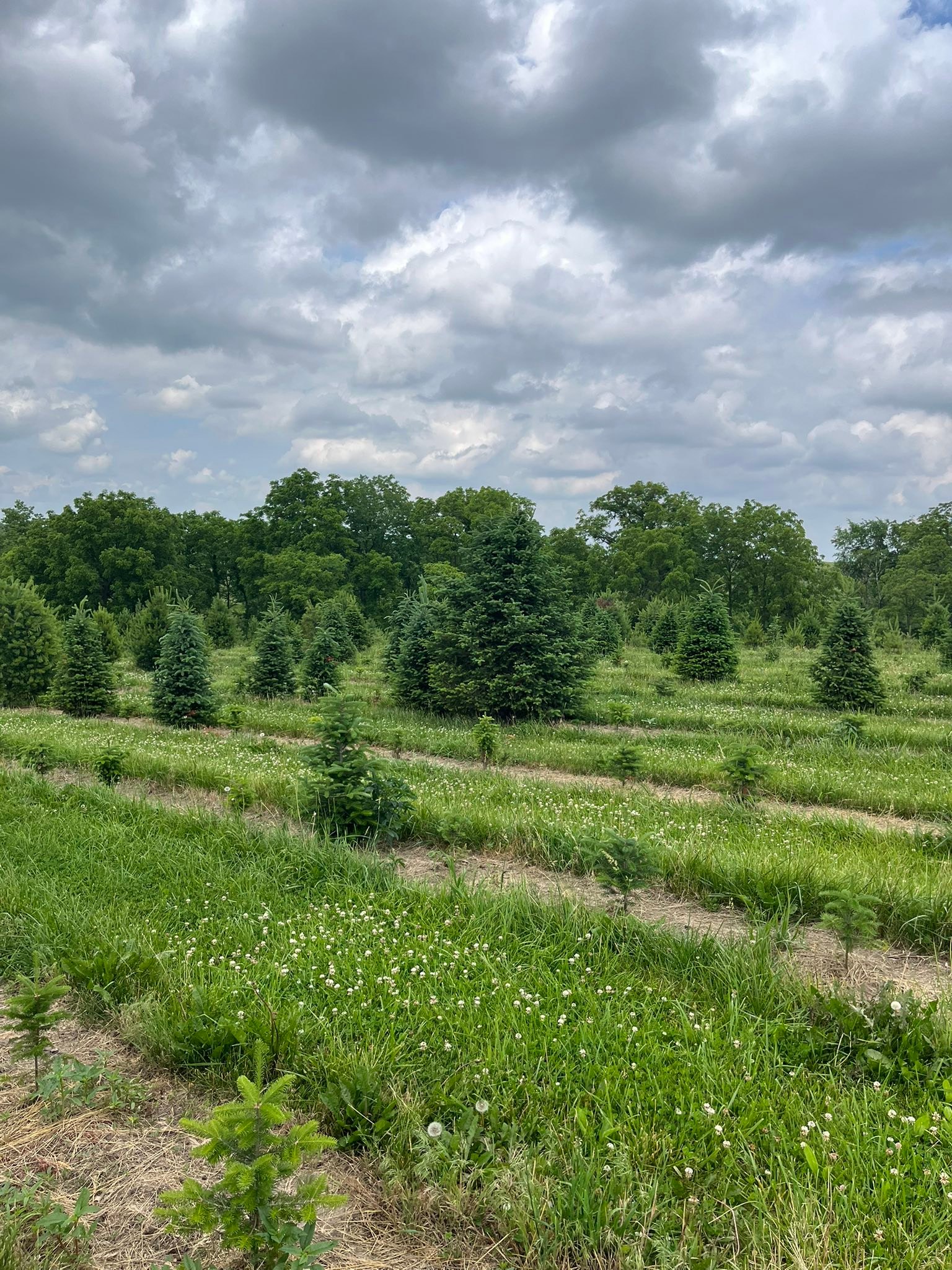 Walnut Ridge Farm | Indianola IA