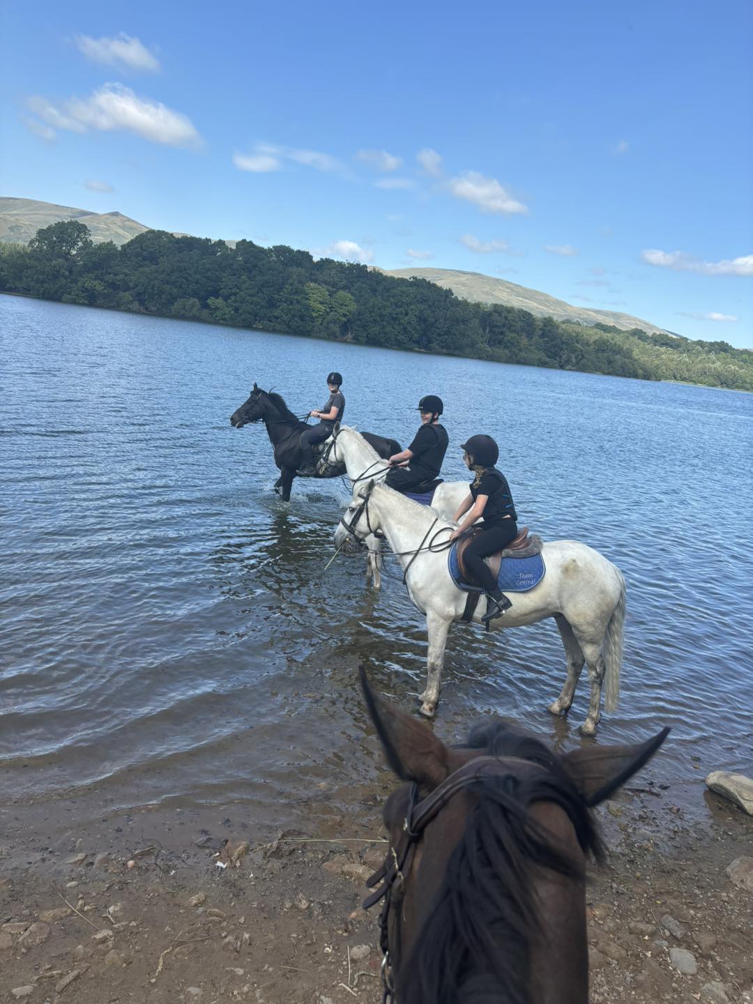Devon River Riding Centre... - Devon River Riding Centre