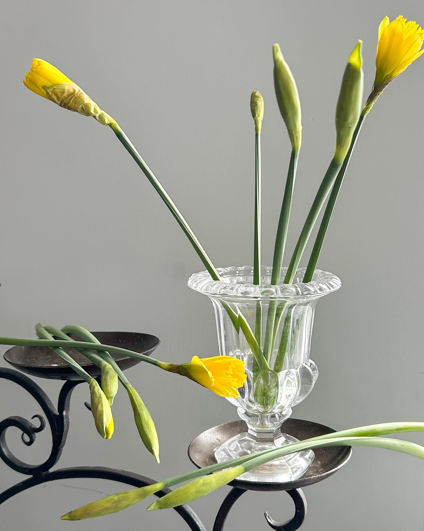 Pod Shop Flowers | New Hope PA