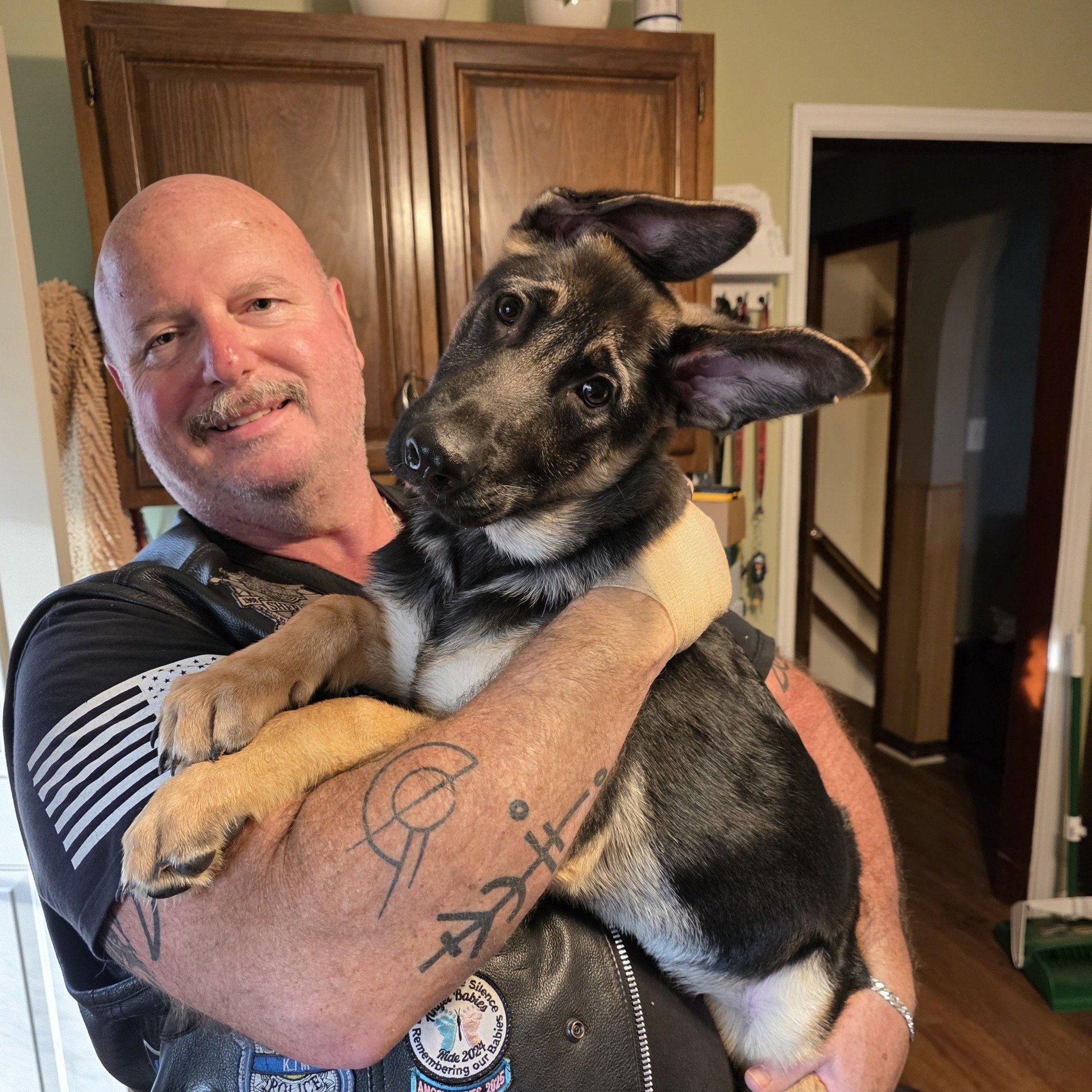 Rottweiler puppies for adoption | Is she full Rottweiler | Facebook