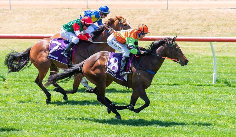 Ike Racing - The little pocket rocket 💚Village Girl🧡 wins...