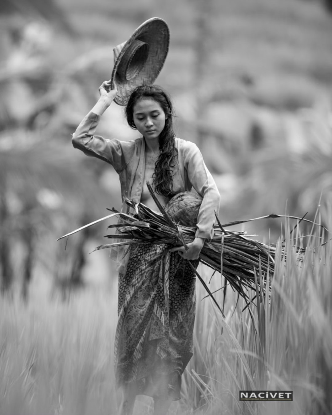 J.P. Nacivet オリジナル写真作品 アートプリント 美術品・アンティーク・コレクション J.P. Nacivet オリジナル写真作品